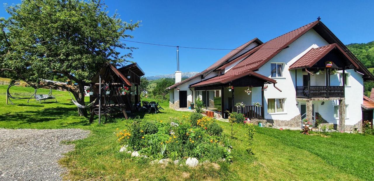 Гостевой дом Casa Elena Бран Экстерьер фото